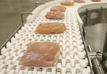 stainless steel plastic belt conveyor